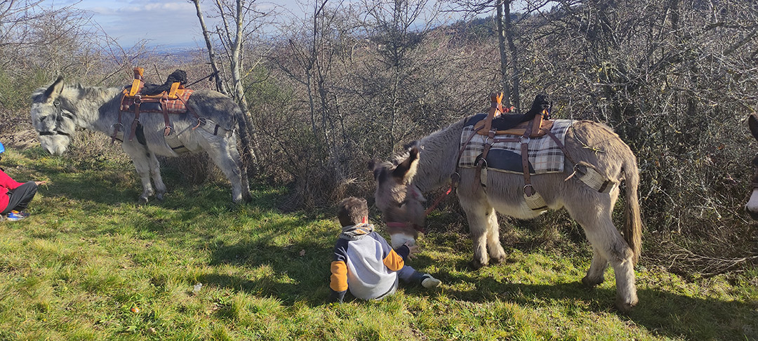 Asinerie-de-la-Framboisine-Pollionnay-69-4